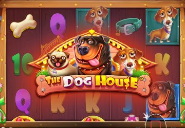 Microgaming - игровой автомат онлайн от Various с RTP 96.06%